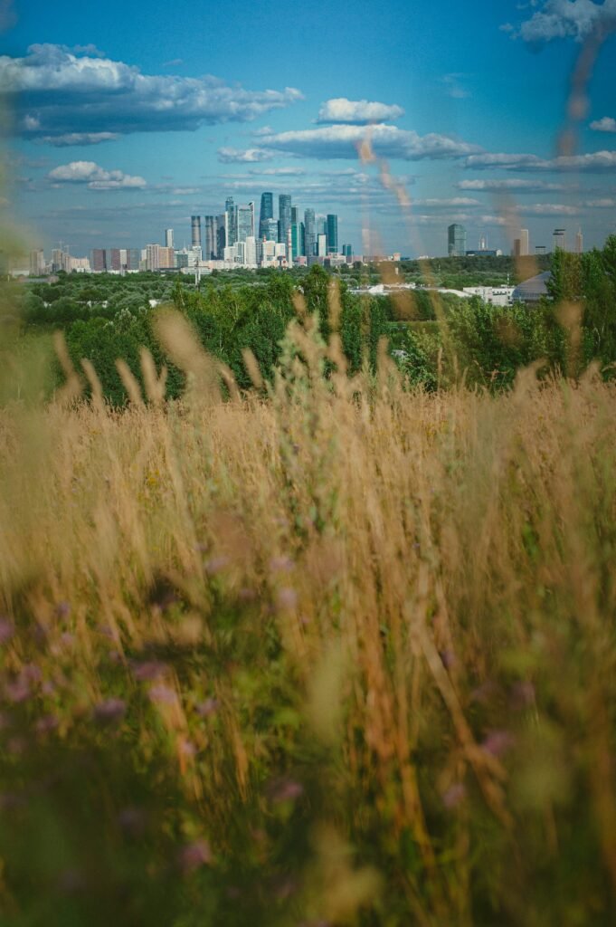 a grassy area with a city in the background